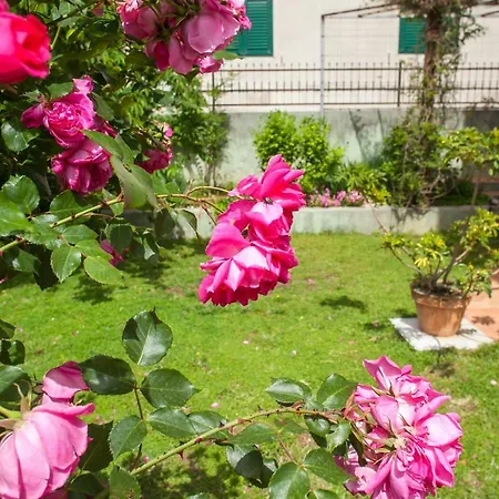 Appartement Cvjetni Dvori